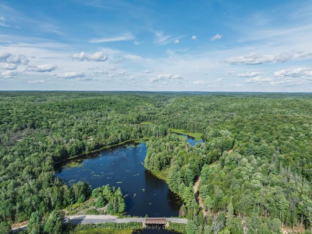 1241 Koshlong Lake Road, Dysart et al
