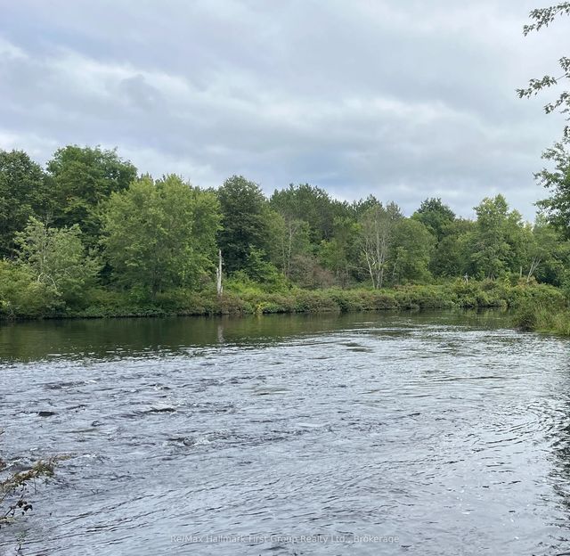 Black River Road N, Tweed