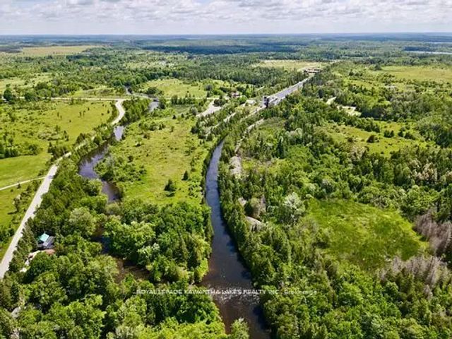 81 Mcguire Beach Road, Kawartha Lakes