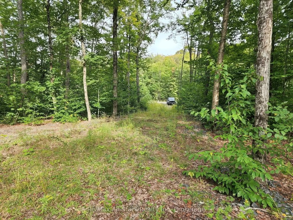 3480 Brunel Road, Lake of Bays