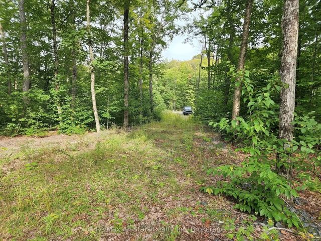 3480 Brunel Road, Lake of Bays