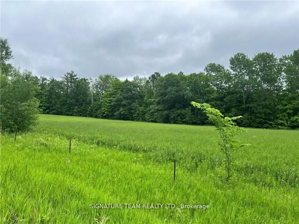 Grant Settlement Road, Whitewater Region