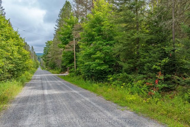 Gibbons Road, Strong