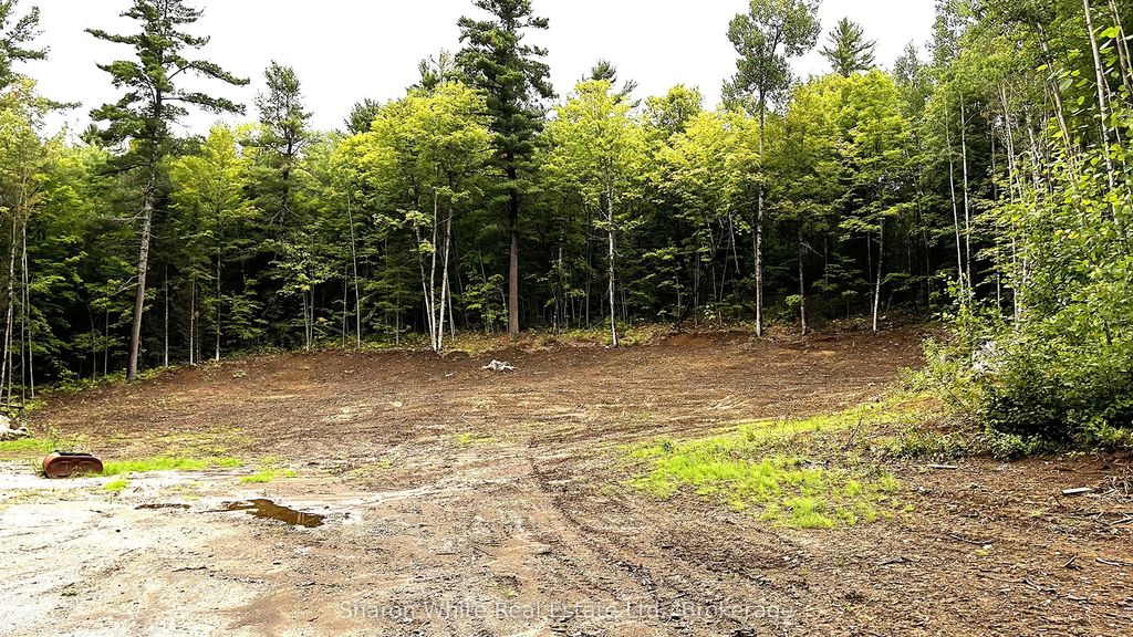 204 Grant Road S, Hastings Highlands