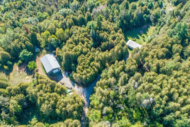 244 Dutch Line Road W, Trent Lakes