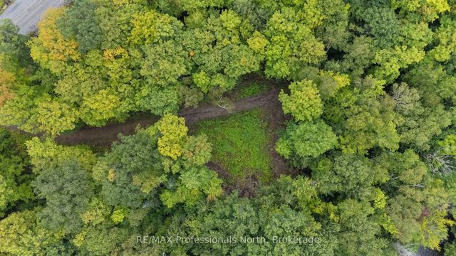 1211 Hawk Valley Road, Algonquin Highlands