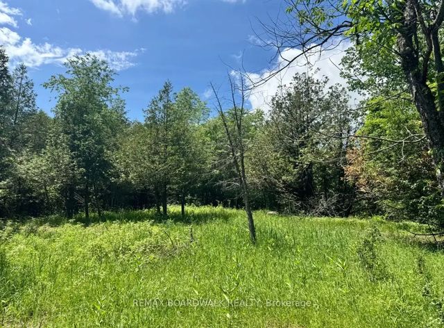 1151 Rosetta Road, Lanark Highlands