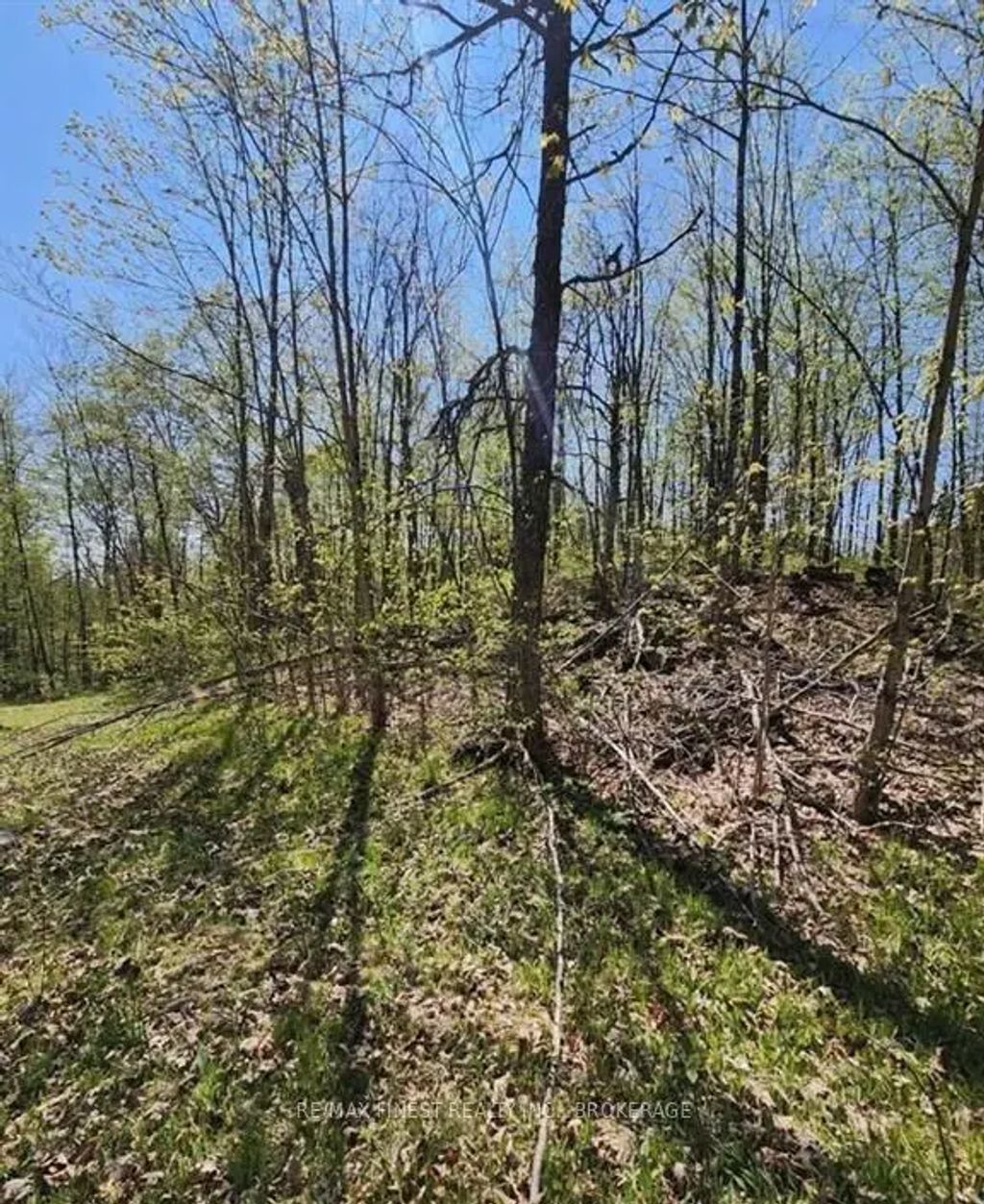 Burke Settlement Road, Frontenac