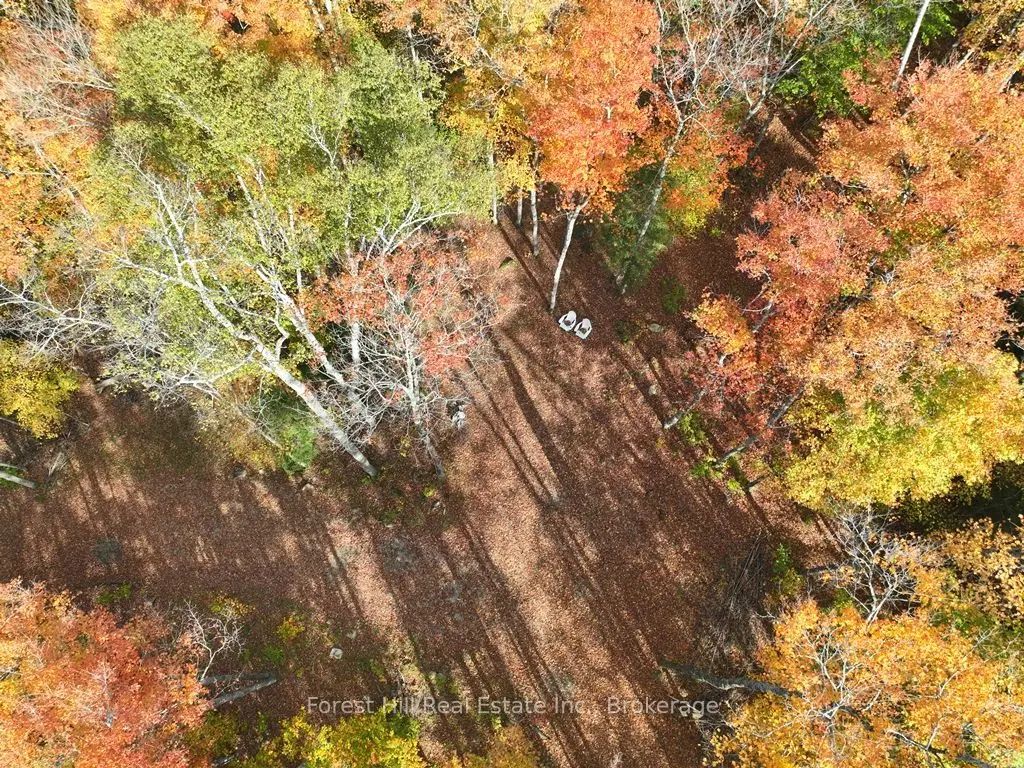 4488 Kawagama Lake Road, Algonquin Highlands