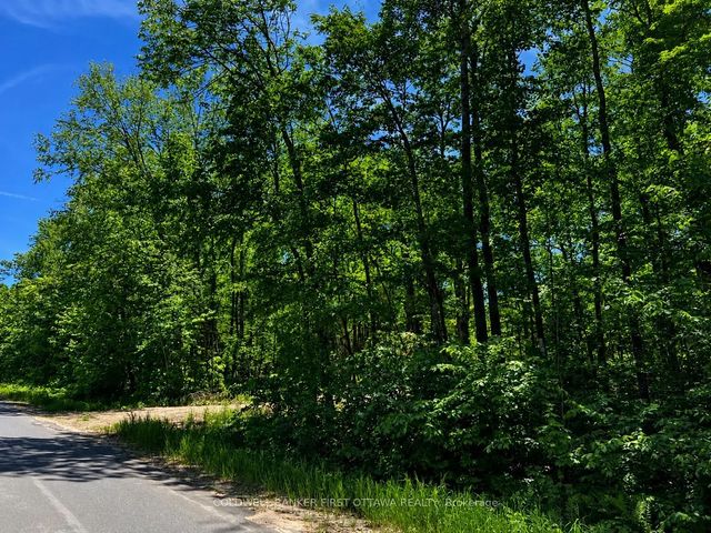 Buckshot Lake Road, Addington Highlands