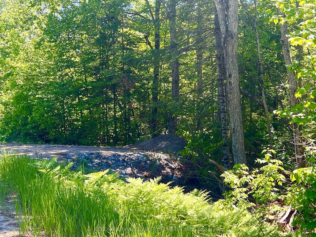 Buckshot Lake Road, Addington Highlands