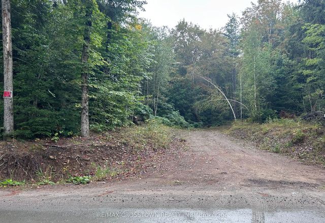 Queens Line Road, Minden Hills