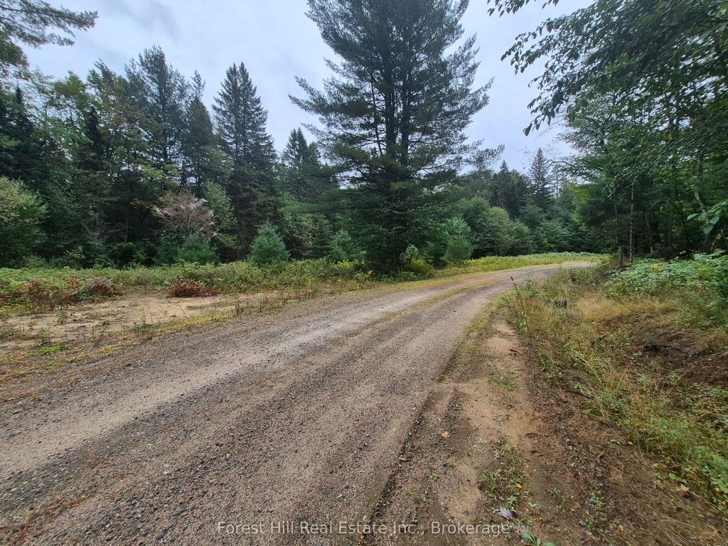 335 Woodland Drive, McMurrich/Monteith