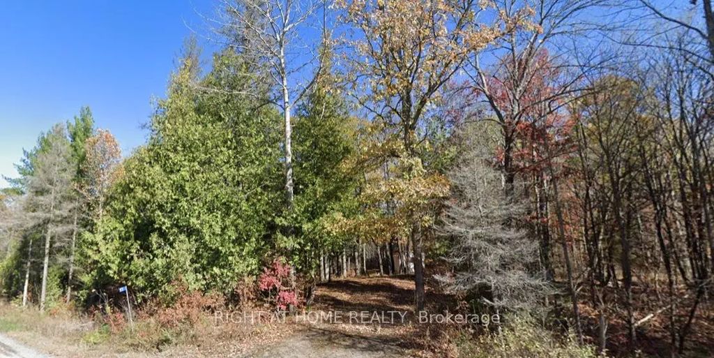 93 Mccleary Road, Marmora and Lake