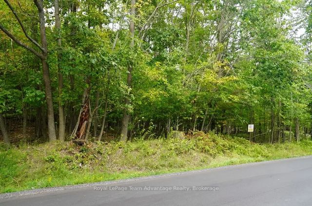 99 Carling Bay Road E, Carling