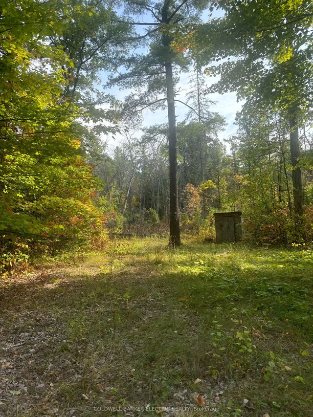 Pineview Court, Marmora and Lake
