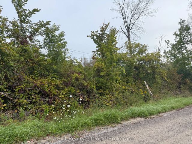 Bagley Road, Trent Hills