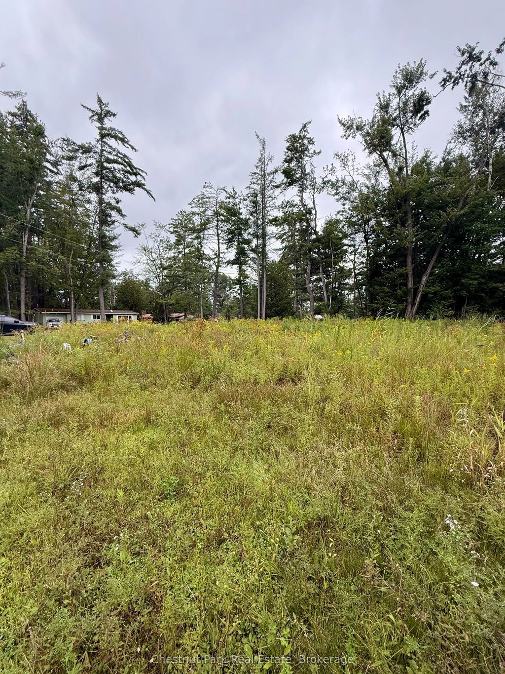 1004 Chippawa Avenue, Gravenhurst