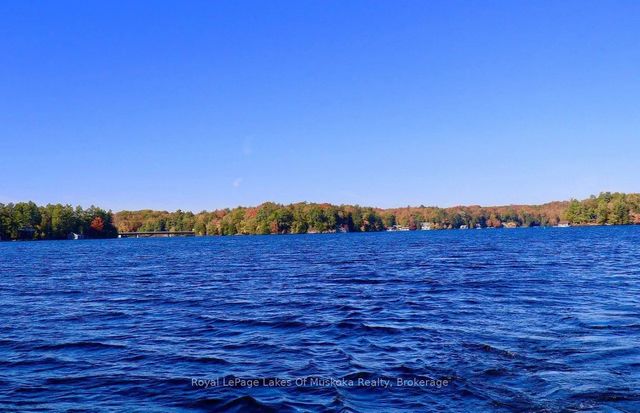 12 Severn River Shore N/a, Muskoka Lakes