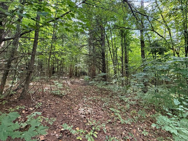 4900 County Rd 4 N/a, Stone Mills