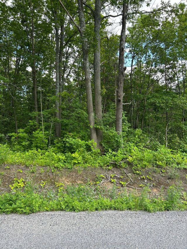 100, 104, And 106 Dingman Road, Cramahe