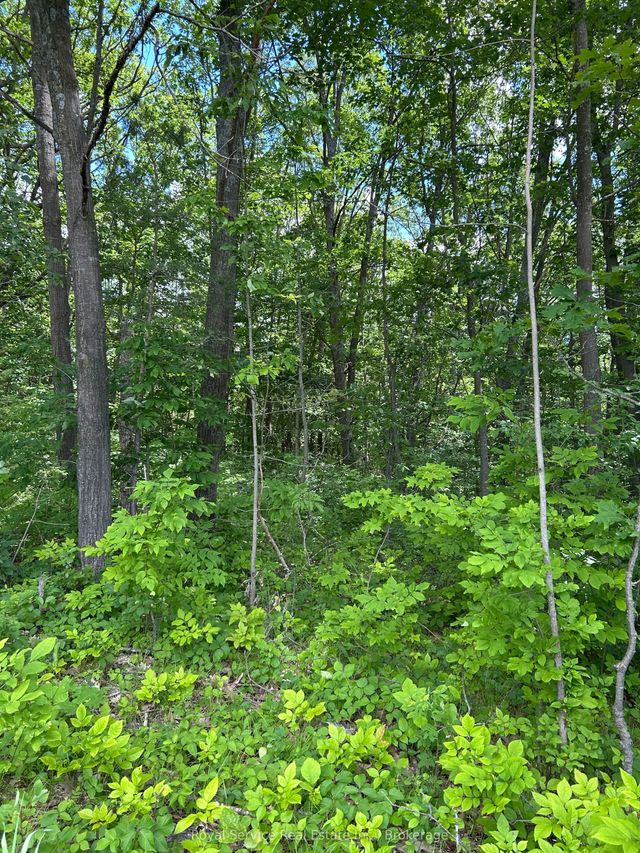 101, 102 And 103 Dingman Road, Cramahe