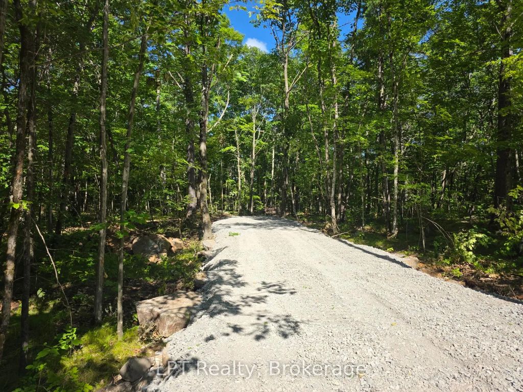 48 Marble Point Road, Marmora and Lake