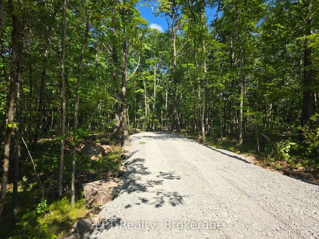 48 Marble Point Road, Marmora and Lake
