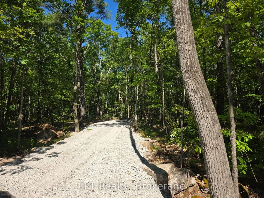 38 Marble Point Road, Marmora and Lake