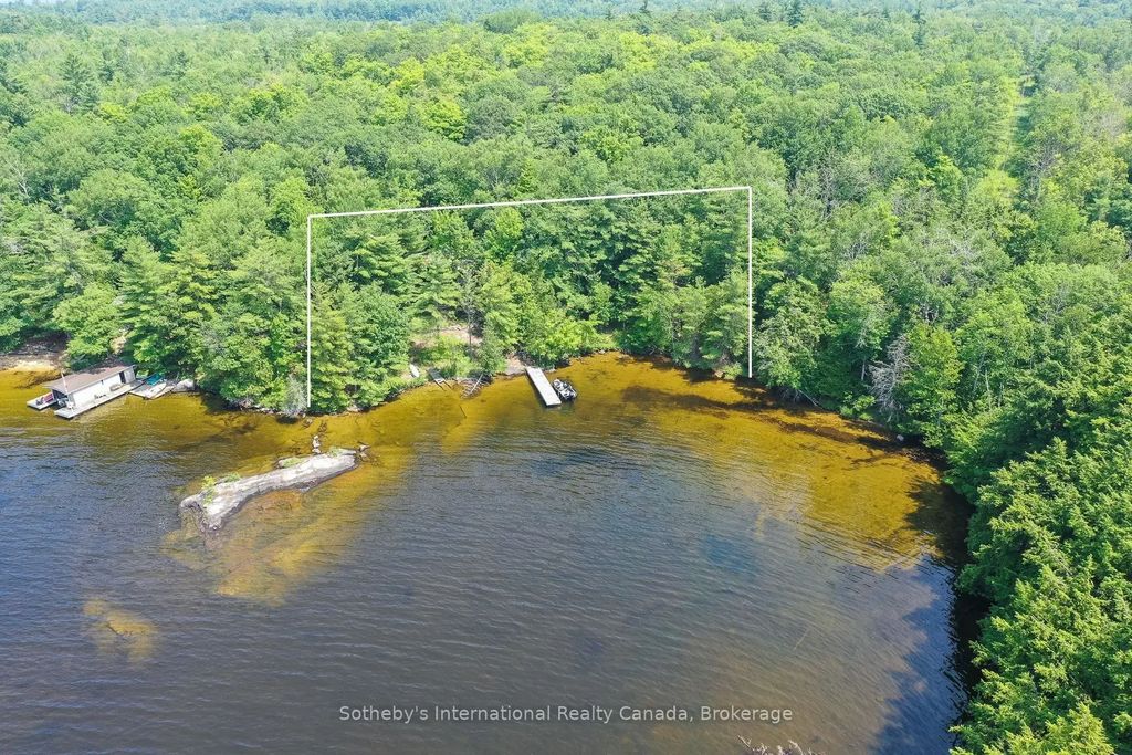 1338 Browning Island, Bracebridge