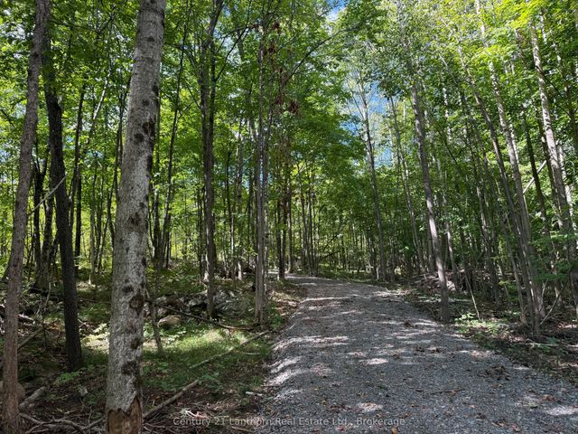Middle Lot Highway 62 N/a, Madoc