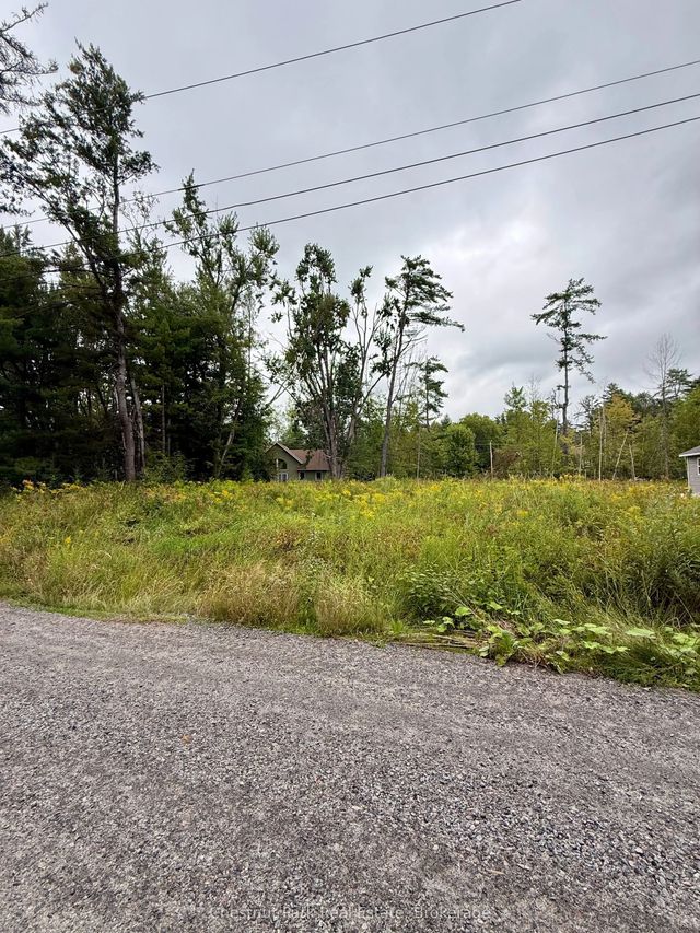 1006 Chippawa Avenue, Gravenhurst