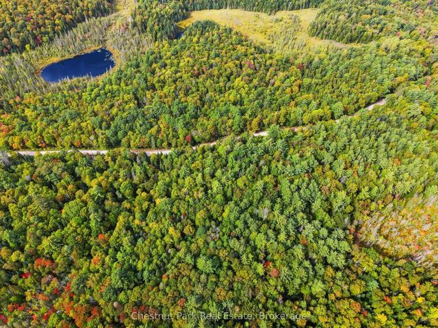 Paint Lake Road, Lake of Bays