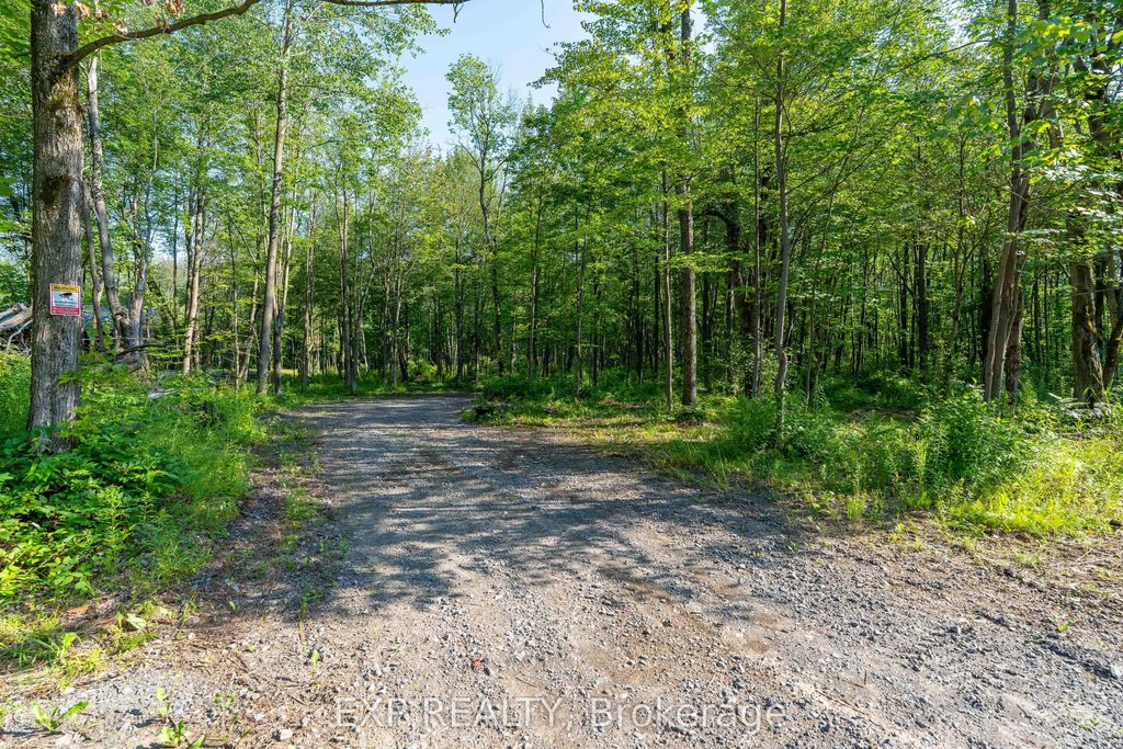 Lot 20 Concession 4 Road, Alfred and Plantagenet