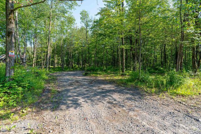 Lot 20 Concession 4 Road, Alfred and Plantagenet
