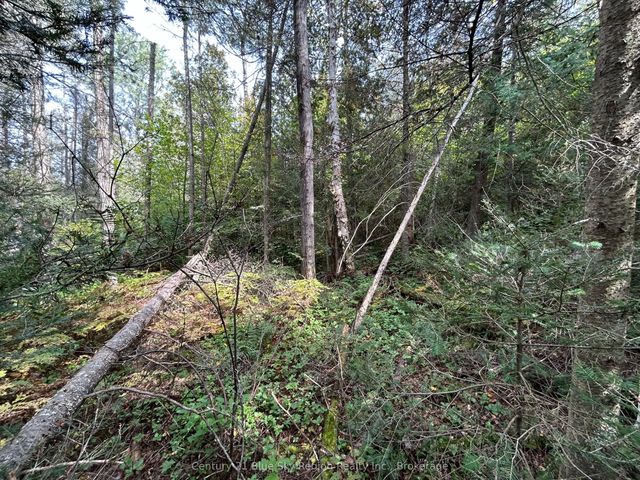 Pcl 28216 Highway 531 N/a, Bonfield