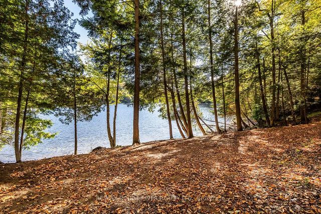 Thompson Portage Road, Lake of Bays