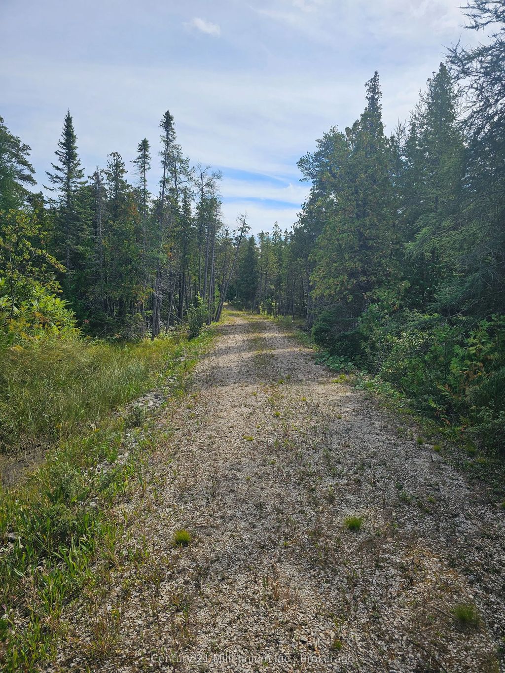 Lt 132 Pl 571 Dorcas Bay Road, Northern Bruce Peninsula