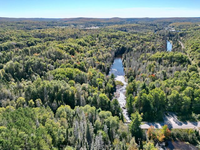 Pt Lt 7 Con 10 Pickerel & Jack Lake Road, Armour