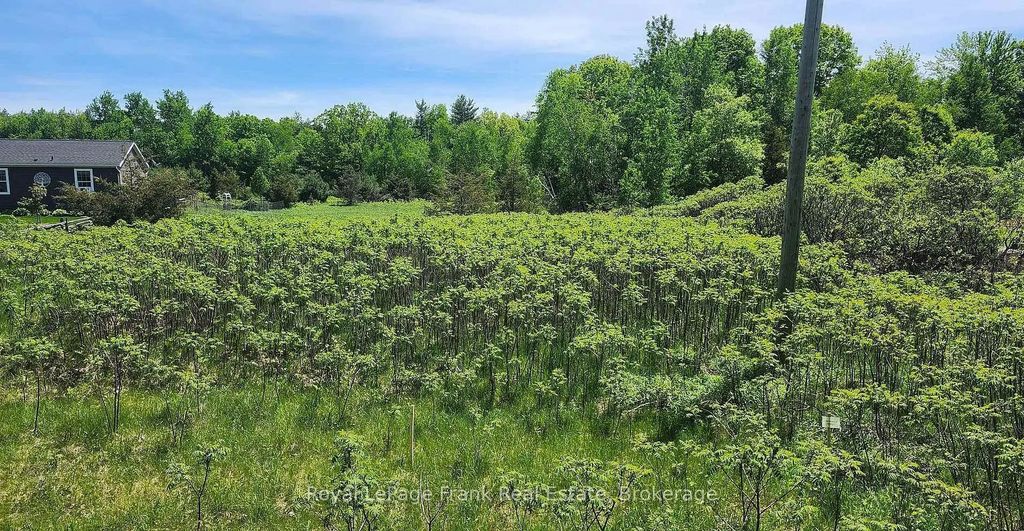 Lot 14 Trent River Road, Trent Hills