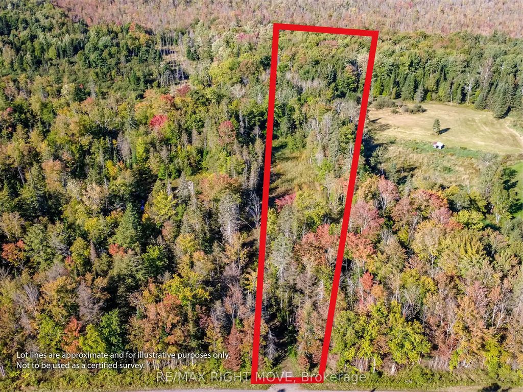 1223 Southwood Road, Gravenhurst