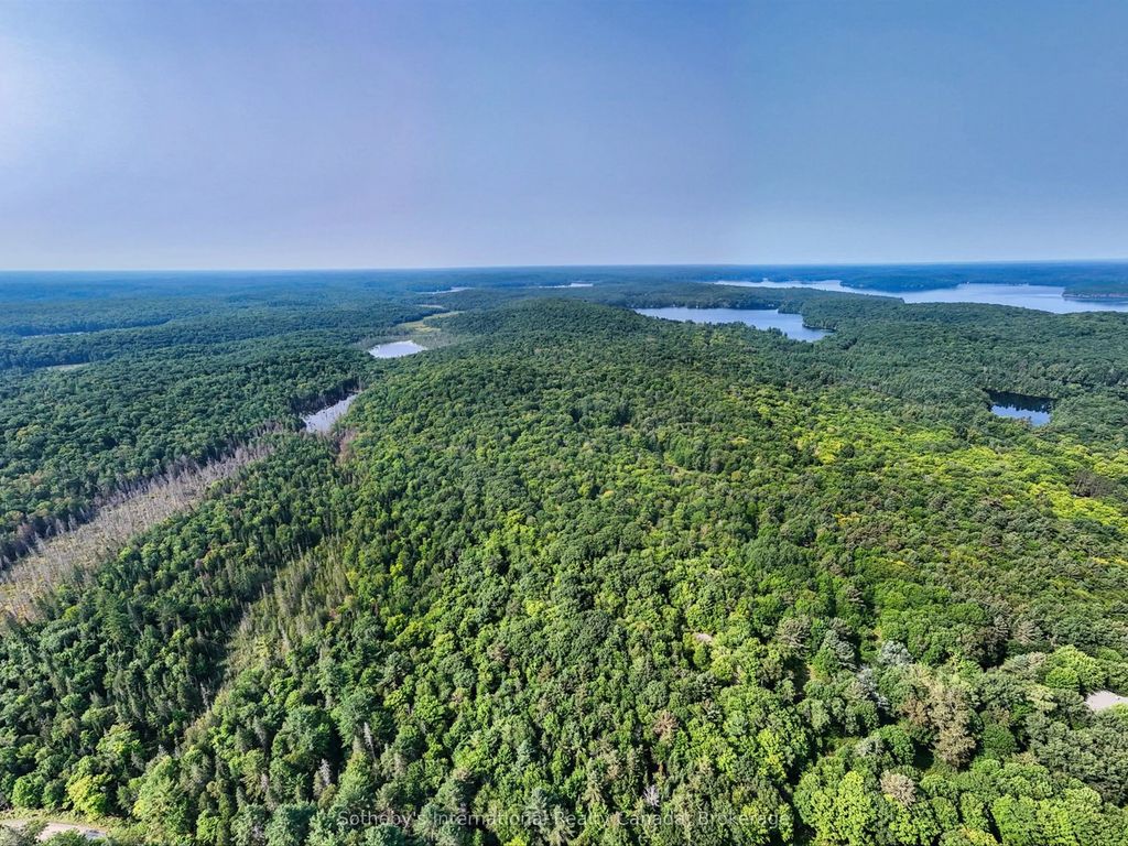 1045 B Browns Brae Road, Lake of Bays