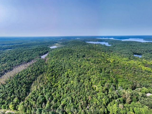 1045 B Browns Brae Road, Lake of Bays