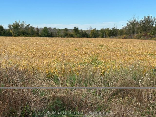 1807 Marysville Road, Tyendinaga