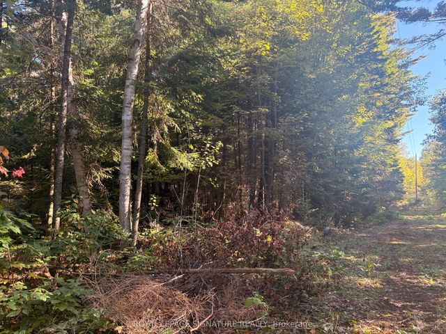 63 Bunny Trail, McDougall