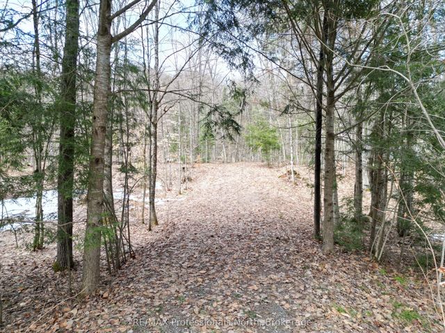 1231 Big Hawk Lake Road, Algonquin Highlands