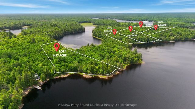 1 W/a Lake Wahwashkesh N/a, Whitestone