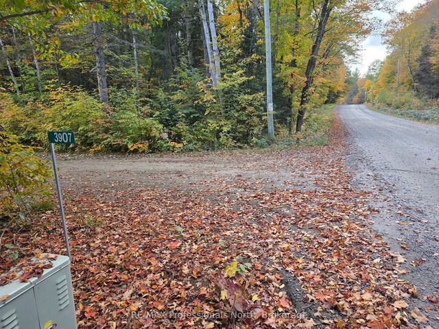 3907 Stisted Road, McMurrich/Monteith
