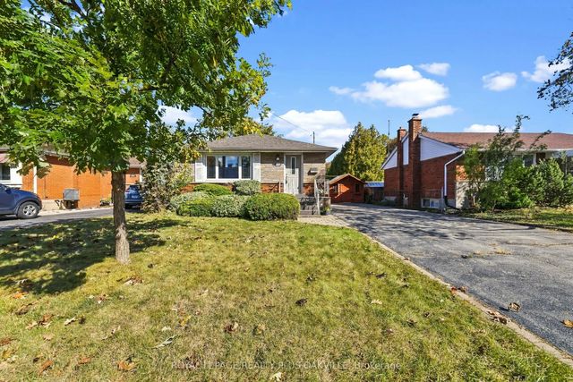 19 Endfield Avenue, Hamilton
