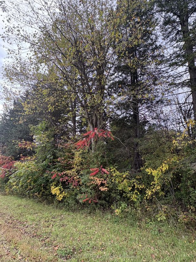 N/a Glen Roy Rd Road, South Glengarry